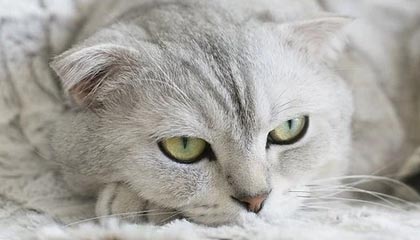 开云官网首页-开云体育APP——让运动与激情无处不在